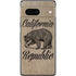 Cali Republic Vintage Pixel Skins
